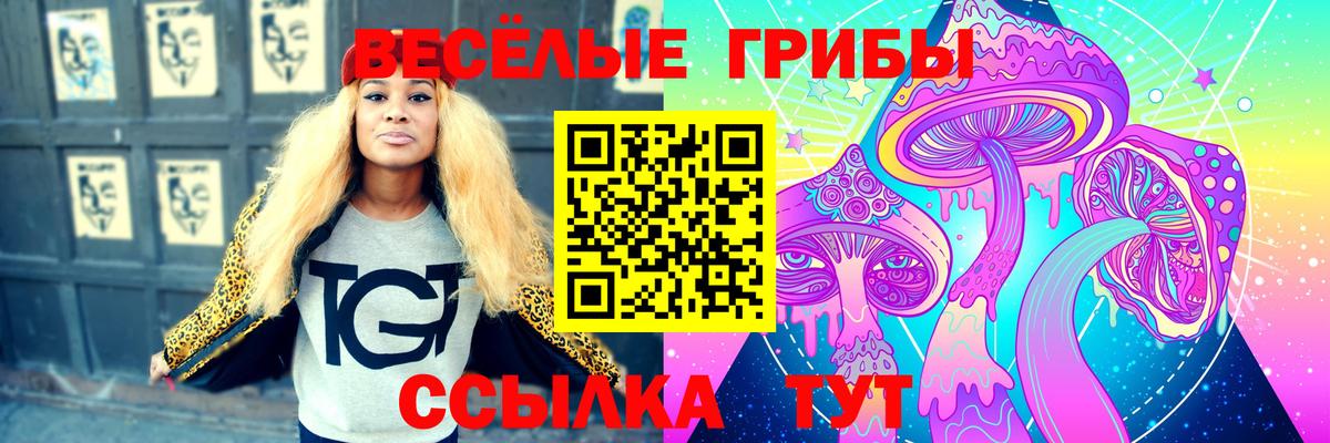 Псилоцибиновые грибы GOLDEN TEACHER  купить   Вход с VPN  Кузнецк  Псилоцибиновые грибы мухоморы 